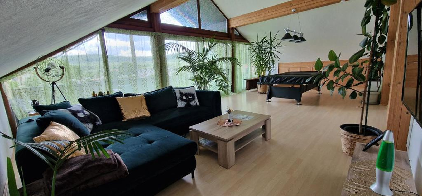 Schwarzer Kater | Ferienwohnung